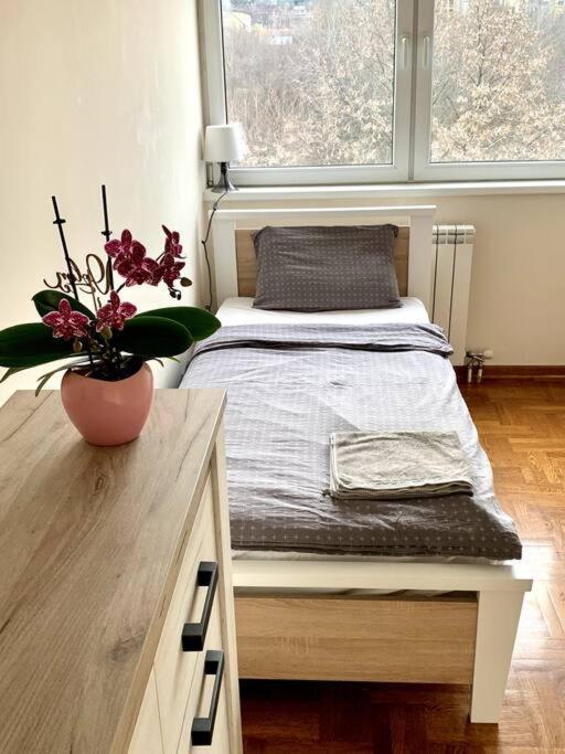 Sunkissed Apartment Belgrad Exterior foto